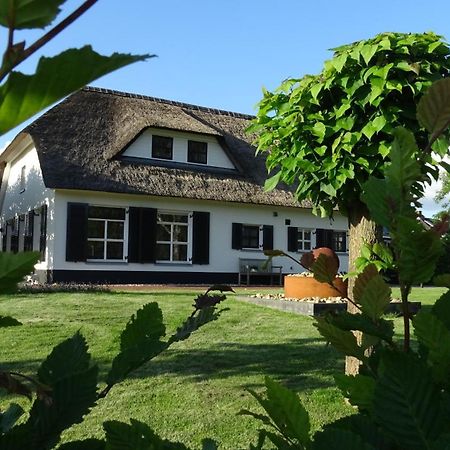 Mimosa Bed & Breakfast In Ijsselmuiden 外观 照片