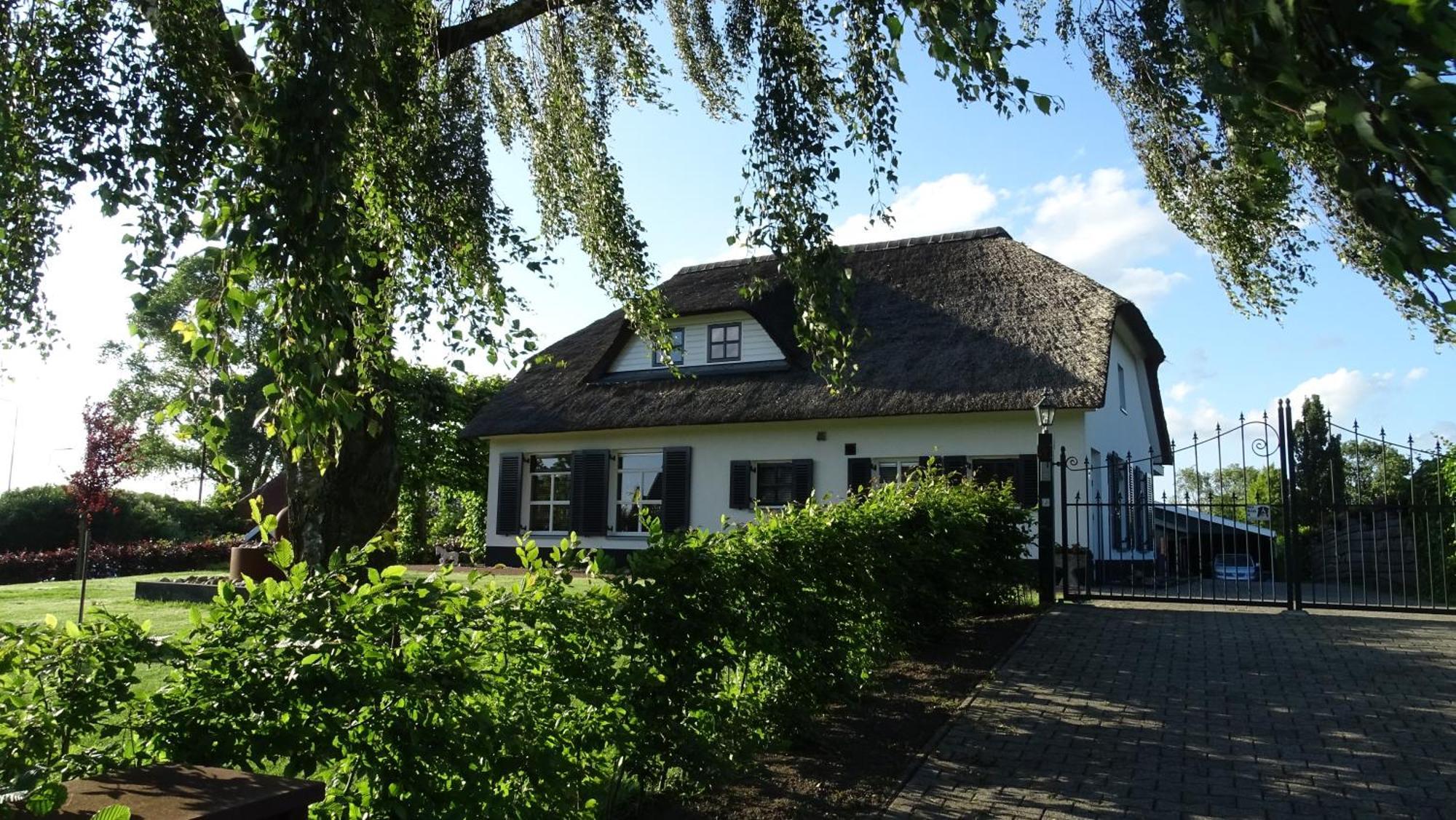 Mimosa Bed & Breakfast In Ijsselmuiden 外观 照片